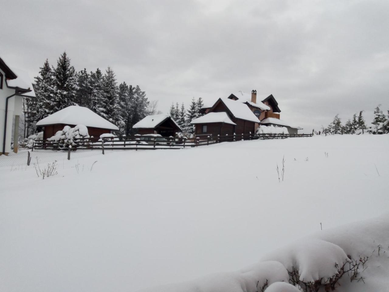 Villa Vila Dodi Bajina Basta Exterior foto